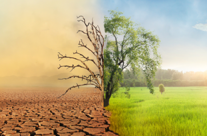 Clima extremo, solução inovadora: como a TRAG está mudando o seguro do agronegócio