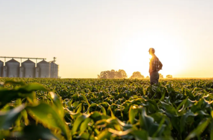 Agro em alerta: Reforma Tributária pode elevar tributos em até 5x